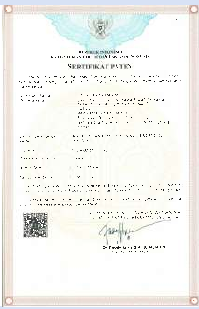 提供資料に掲載された特許証 5