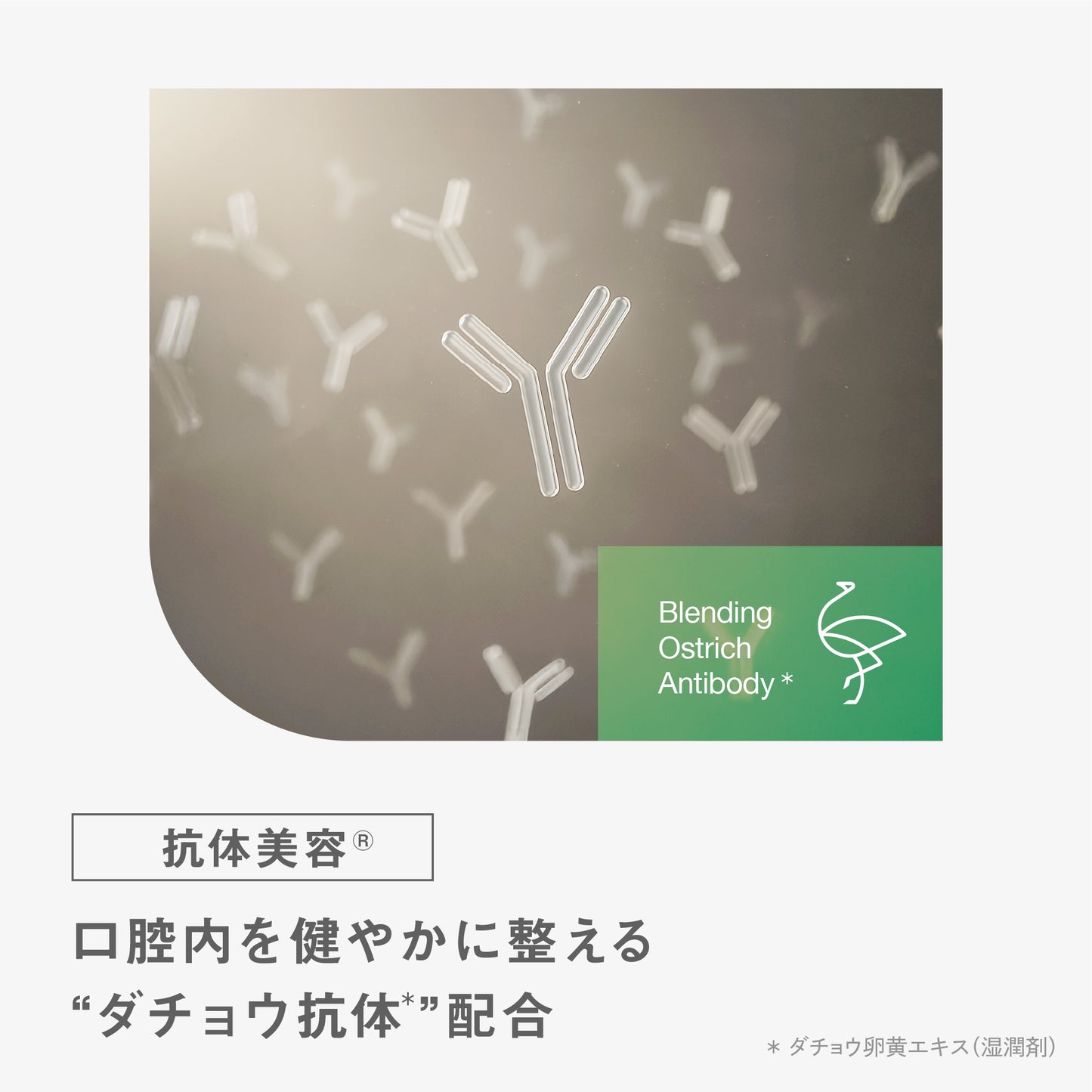 BF トゥースペースト