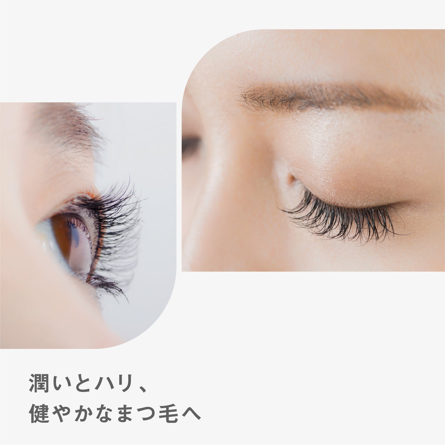BF アイラッシュセラム