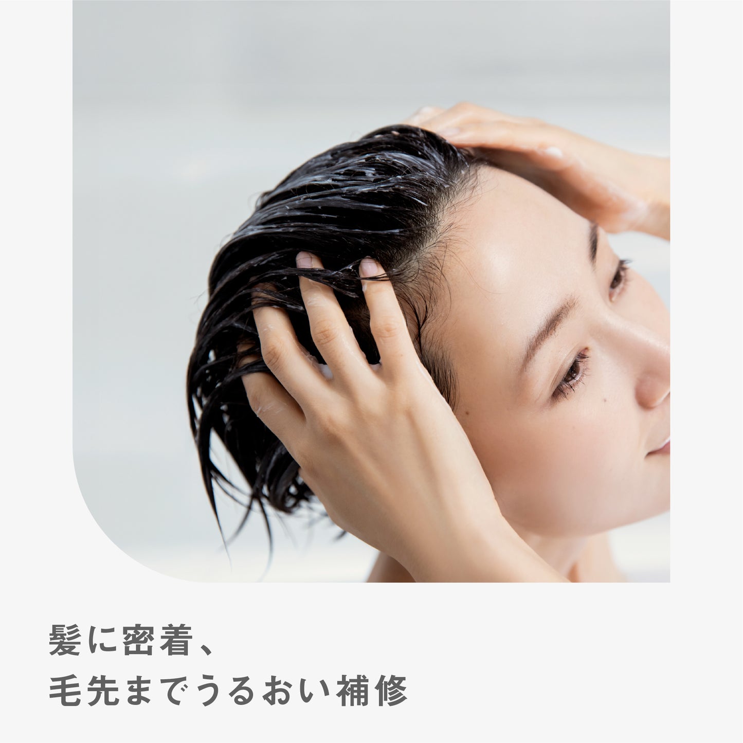 BF トリートメント