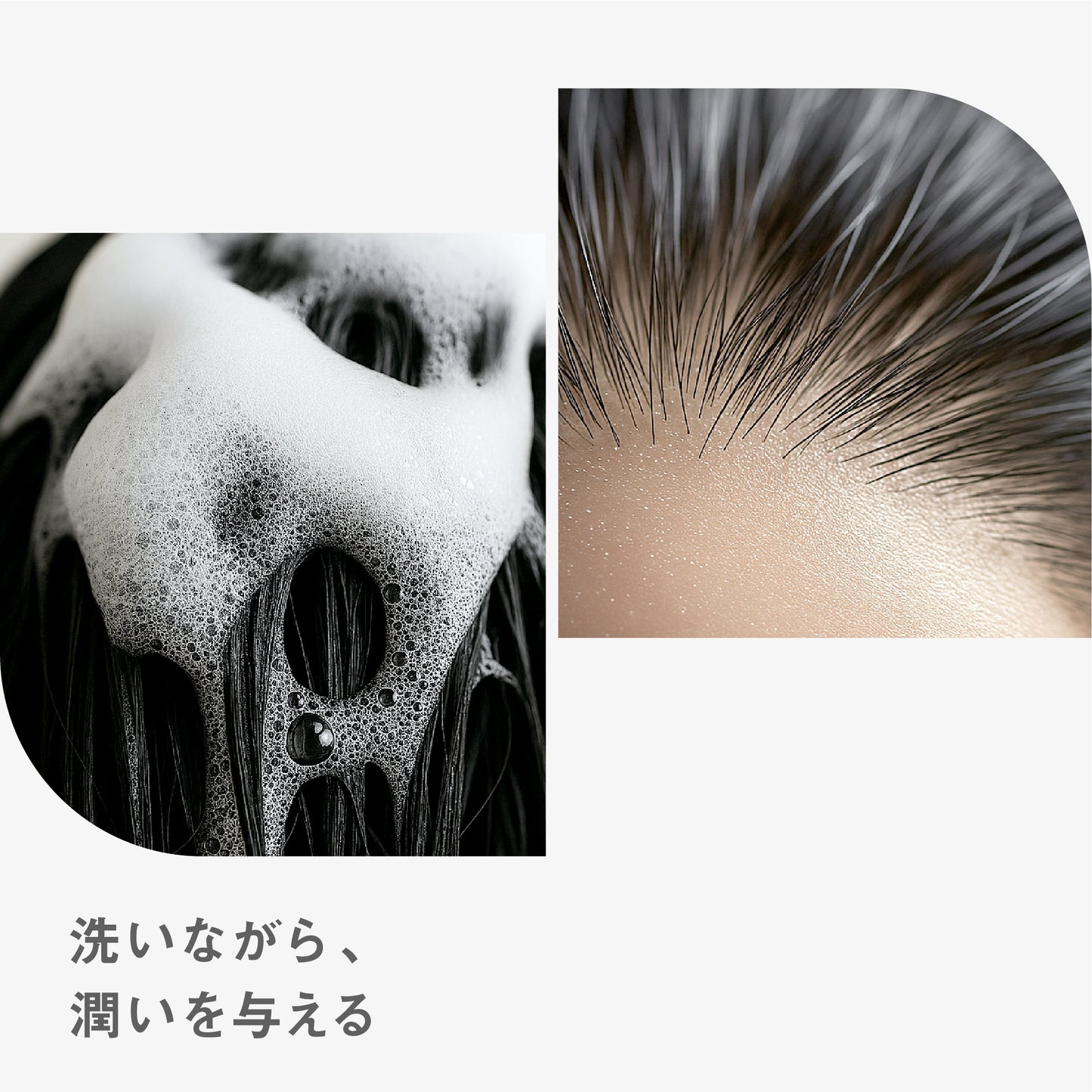 BF シャンプー