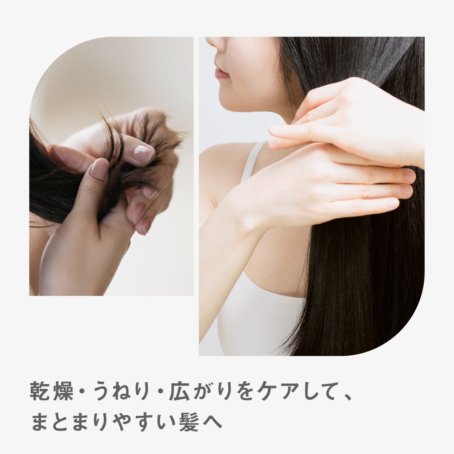 BF トリートメント