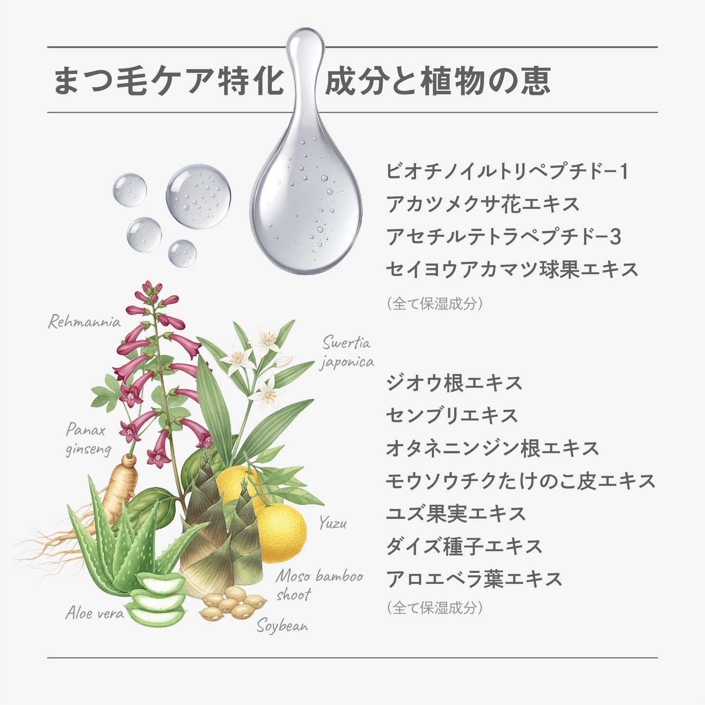 BF アイラッシュセラム