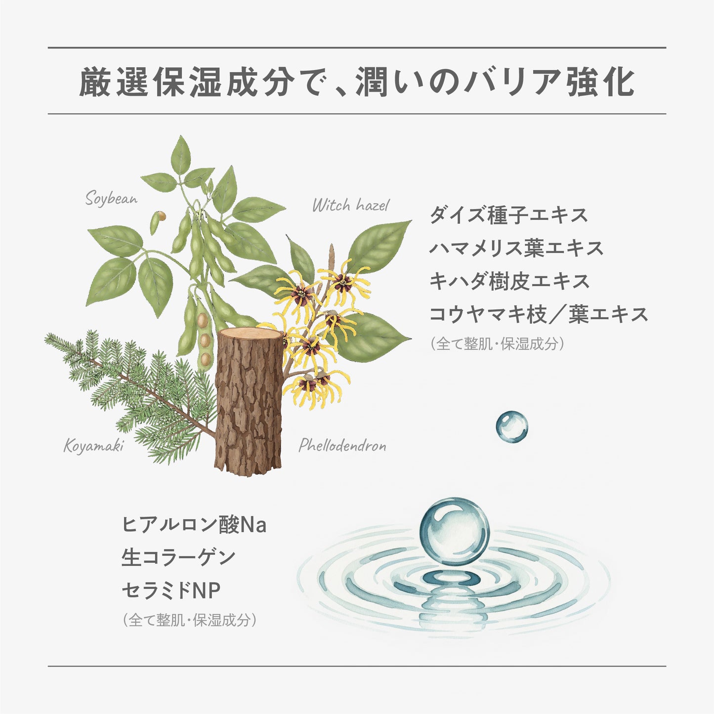 BF マイルドミルク