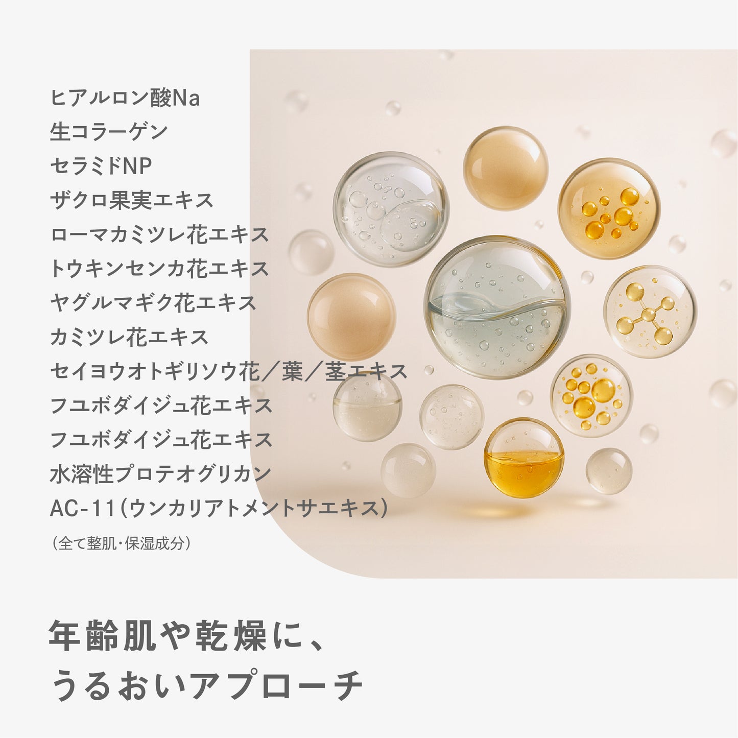 BF オールインワンリッチセラム