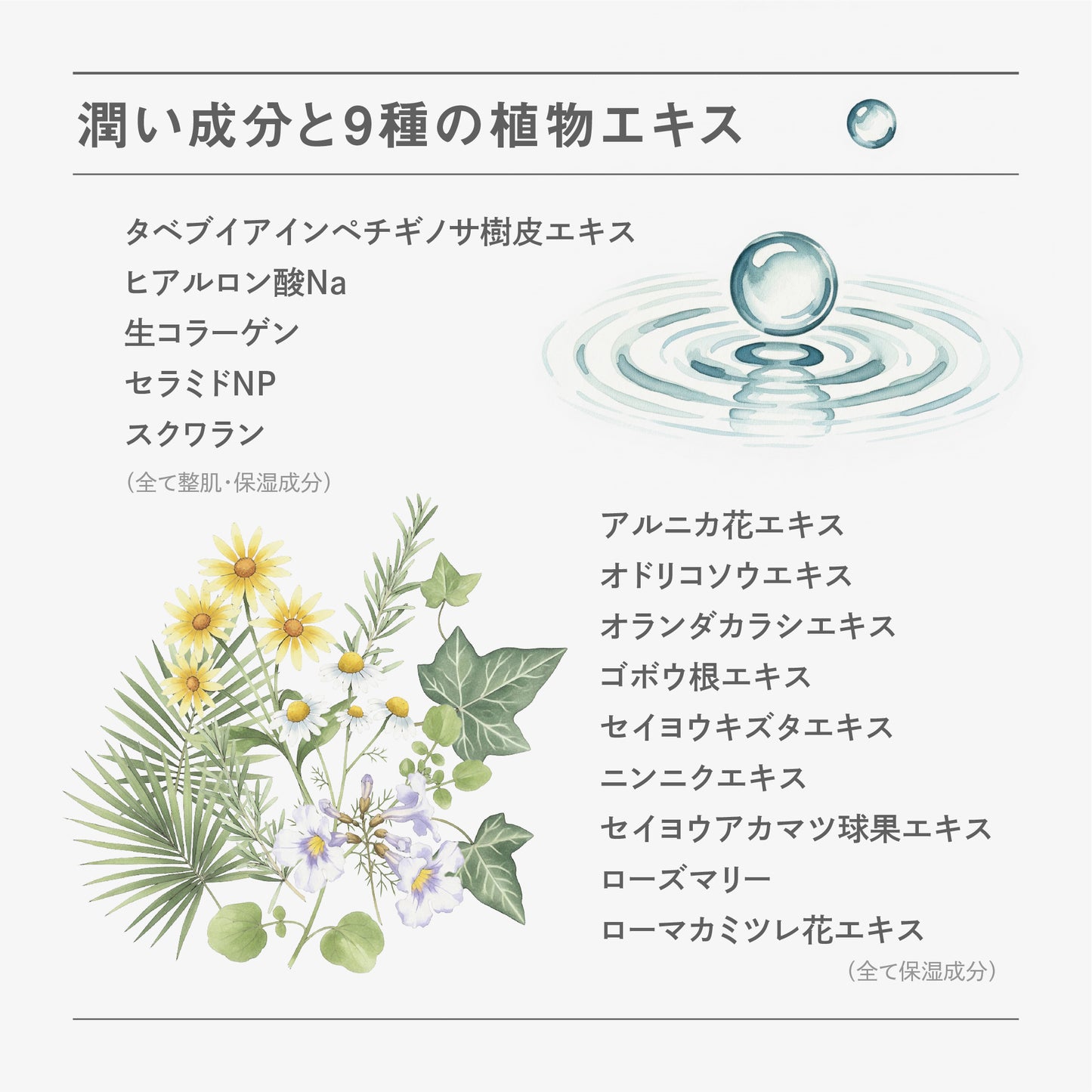 BF クレンジング