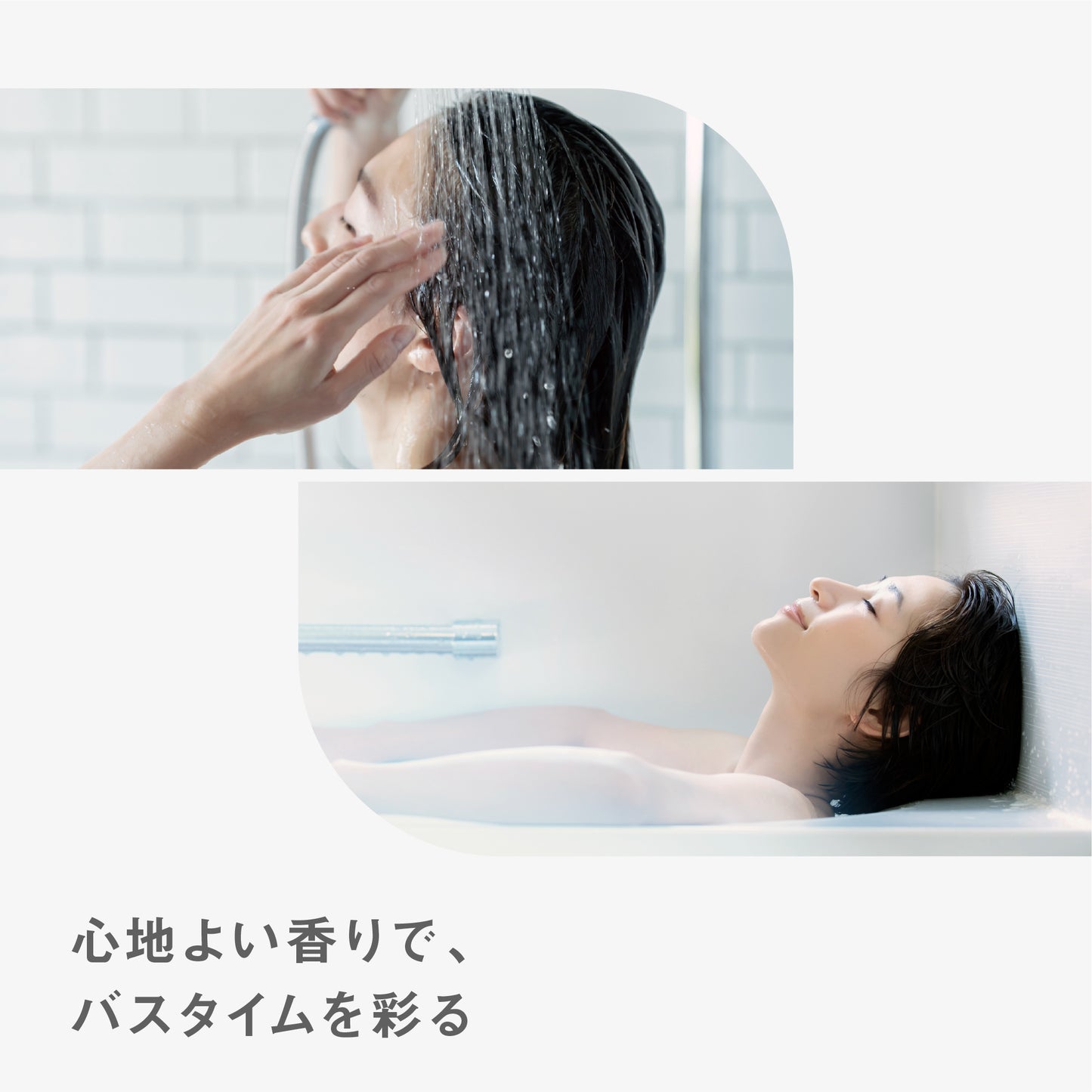 BF シャンプー