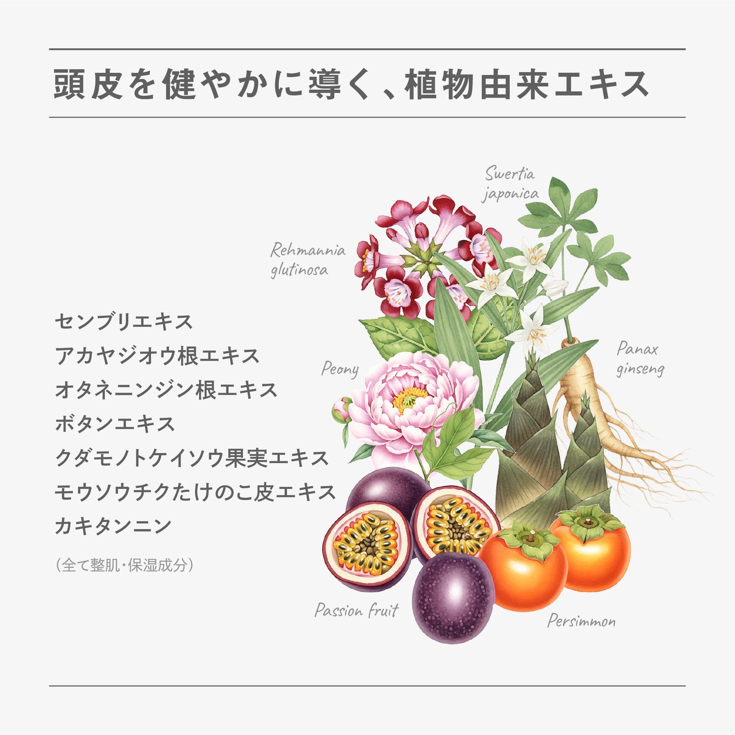 BF スカルプトニック