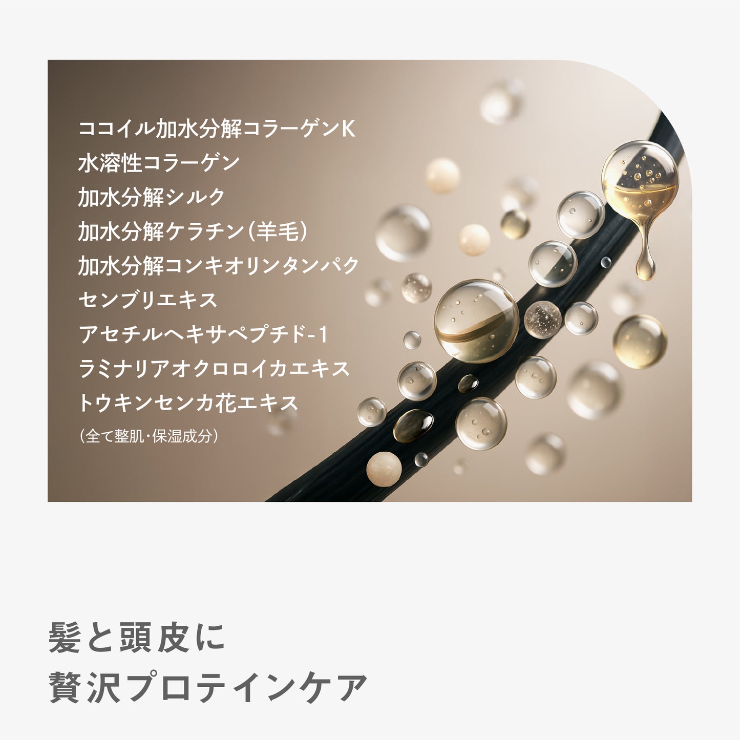 BF シャンプー
