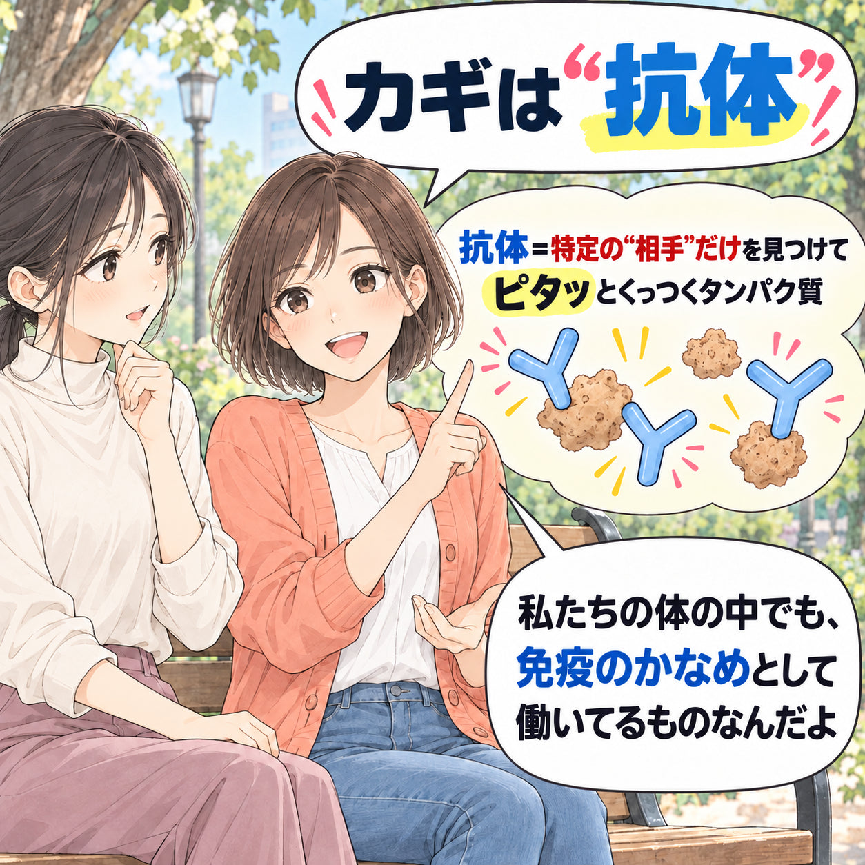 カギは“抗体” 抗体＝特定の“相手”だけを見つけて ピタッとくっつくタンパク質 私たちの体の中でも、免疫のかなめとして働いてるものなんだよ