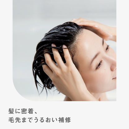 BF トリートメント
