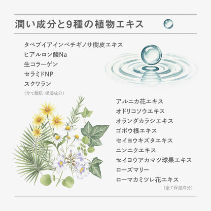 BF クレンジング