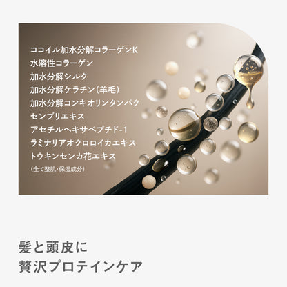 BF シャンプー