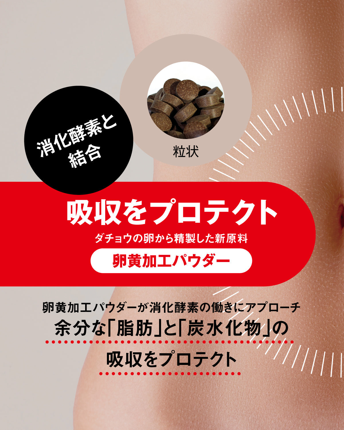 ダイエットサプリメタソーブ 脂肪・炭水化物吸収抑制 - ダイエットサプリ